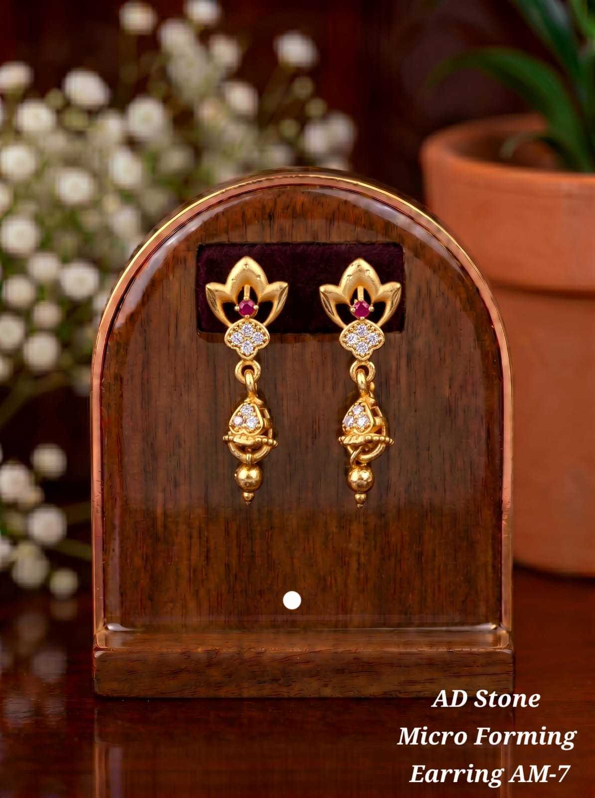Micro Forming AD Stone Drop Earrings