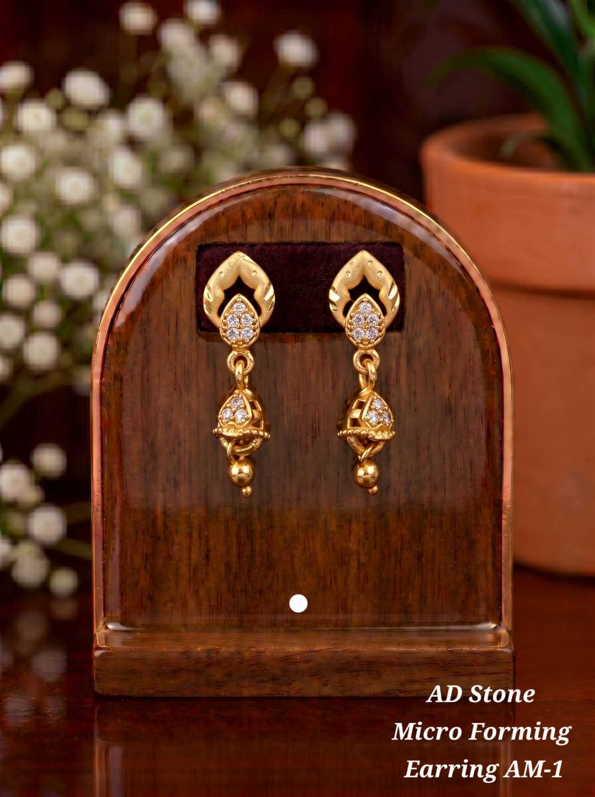 Micro Forming AD Stone Drop Earrings